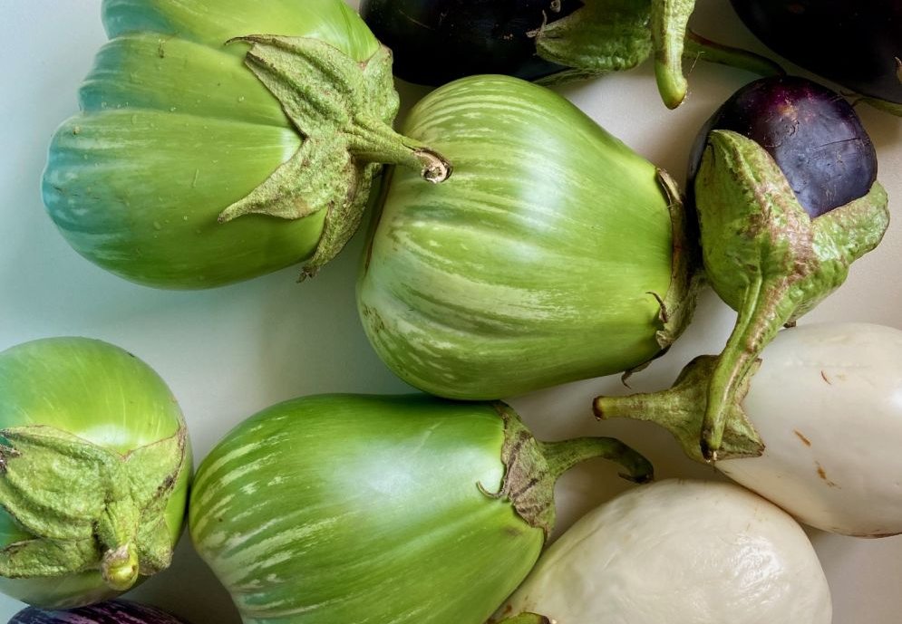 Why should we save food?