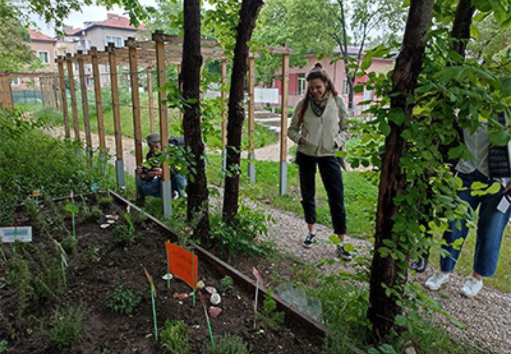 Create a school garden