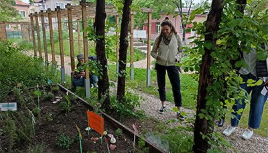 Create a school garden